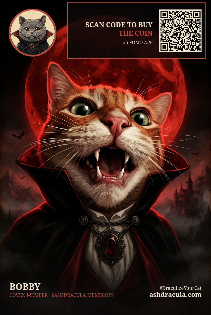 Bobby as a Dracula Cat